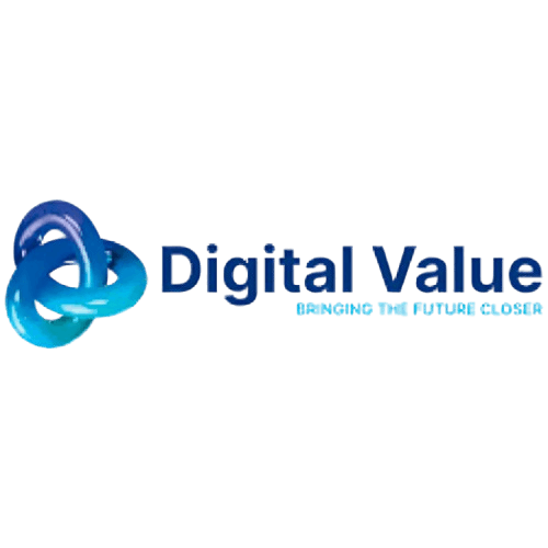Digital Value logo